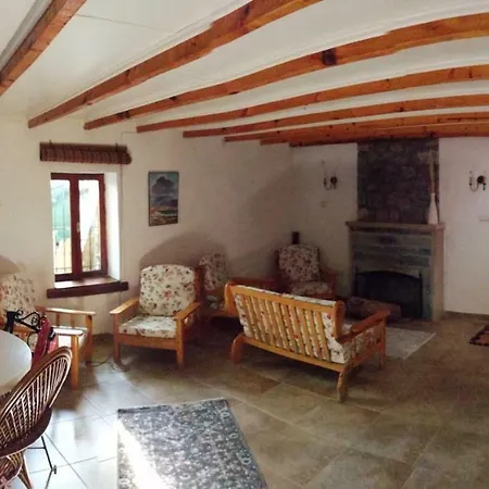 Mulberry  Fethiye