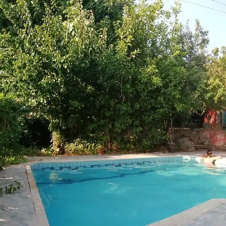 Mulberry  Fethiye